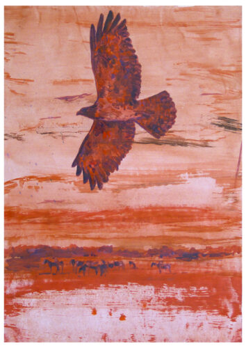 Bussard rot